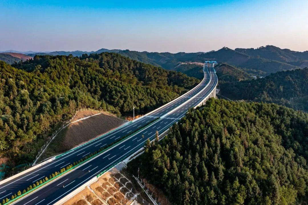 巴马最新新闻报道速递