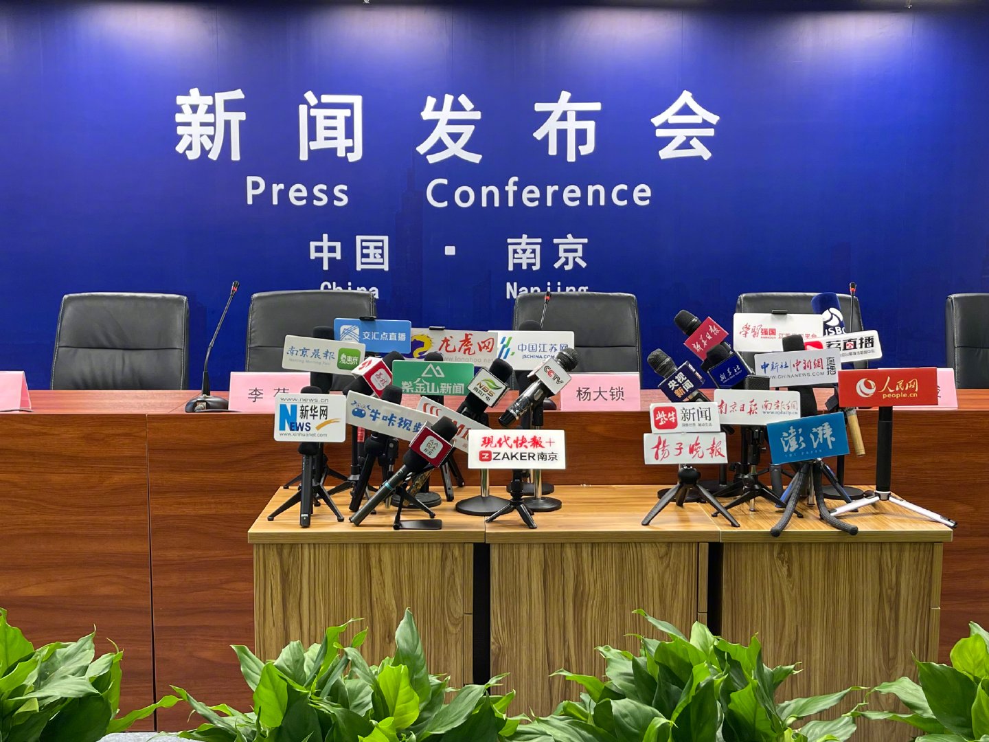 古都焕新颜，南京迈向新征程，最新南京新闻综述