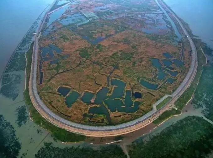 绿地长岛最新价格动态与市场影响力深度探讨
