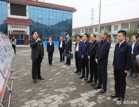 彬县新闻热点聚焦，县域发展新动态与社会热点全解析