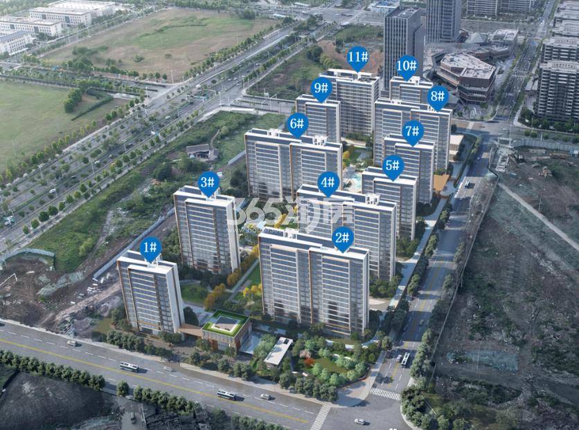 合肥滨湖最新发展动态概览