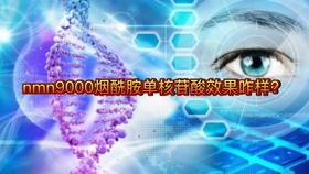 NMN最新动态，科技前沿热点与未来展望
