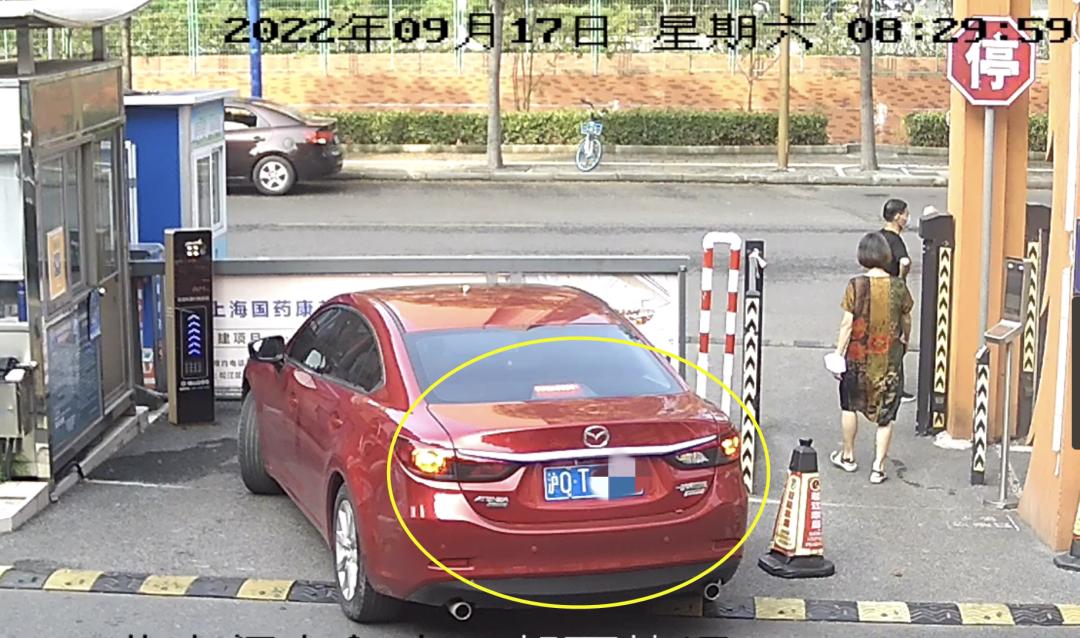 沪牌最新号段解读，新政背景及影响分析