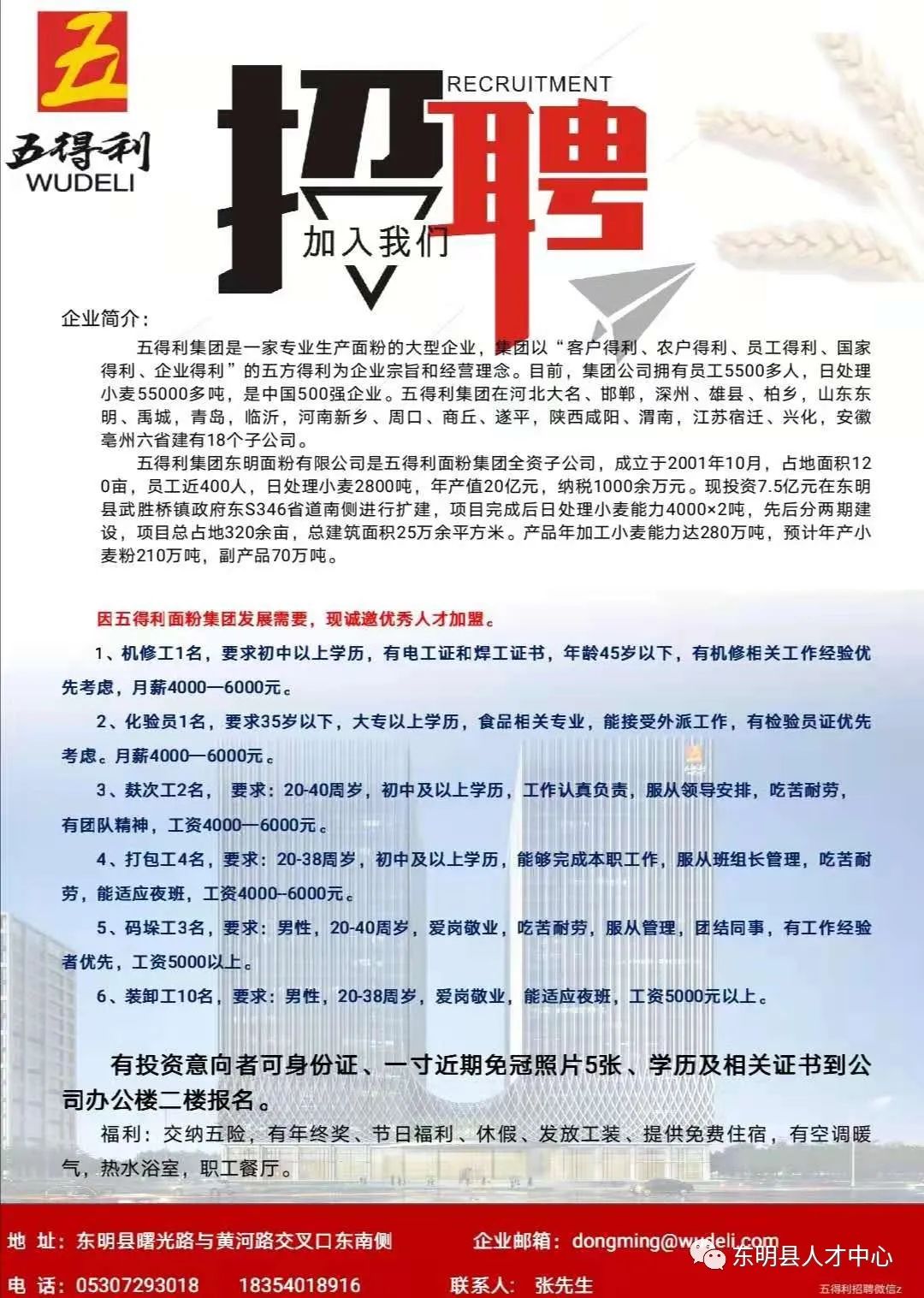 孟州招聘网最新招聘信息速递