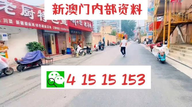 新澳门天天开好彩大全开奖记录｜详细解答解释定义