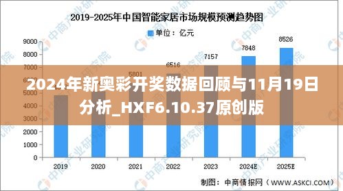 新奥全部开奖记录查询,专业解析评估