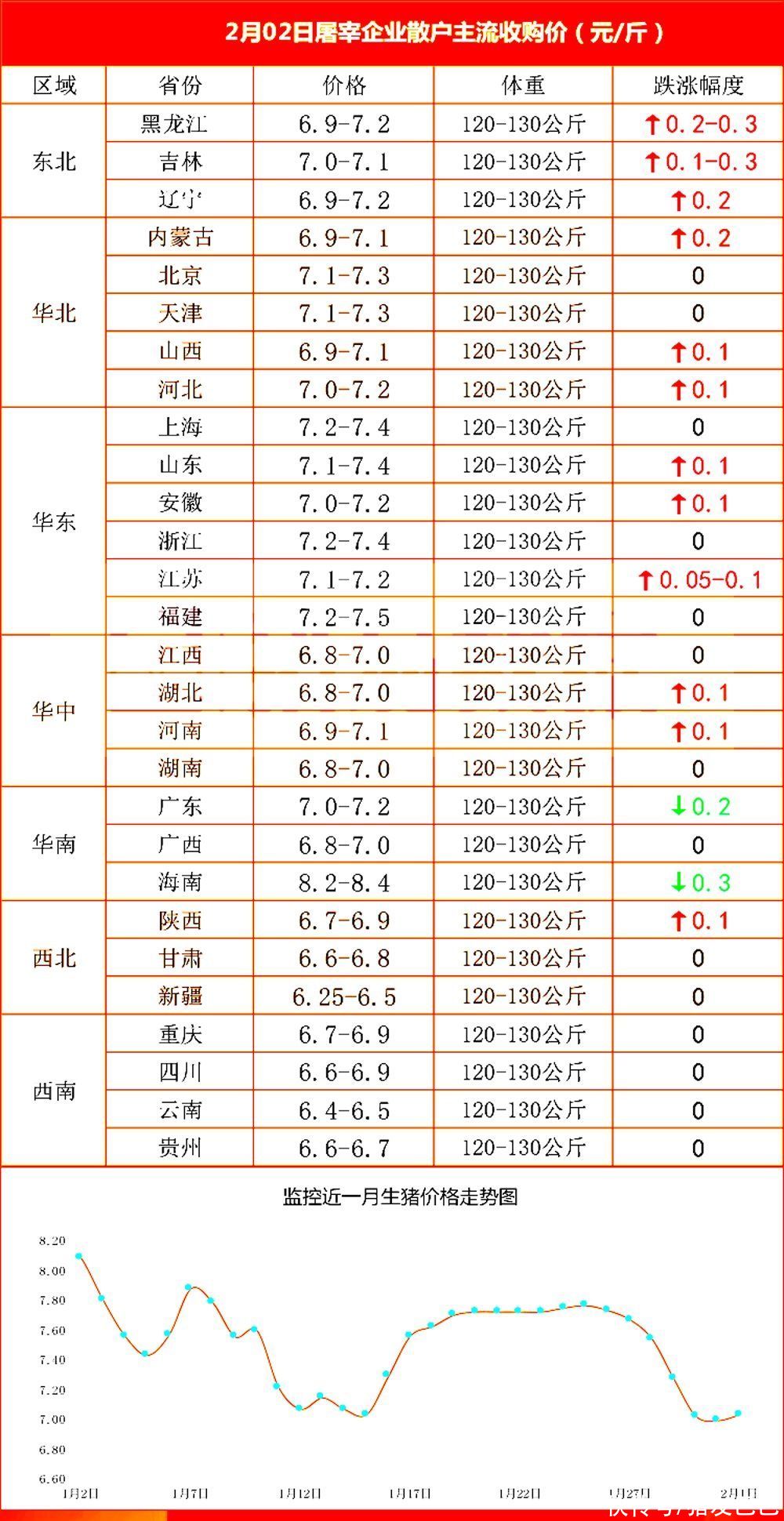 毛猪最新价格动态，市场走势、影响因素与未来展望分析