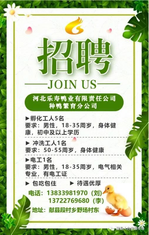 怀柔招聘网最新招聘动态深度解读与解析